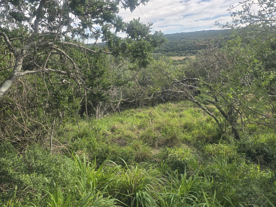 0 Bedroom Property for Sale in Bathurst Rural Eastern Cape